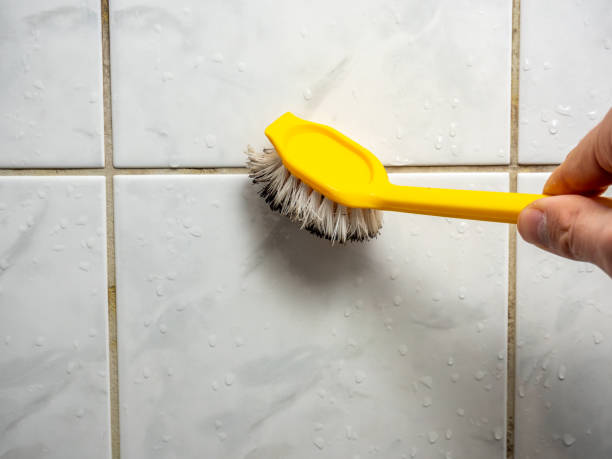 Best Health and Safety Mold Remediation in Big Sandy, TX