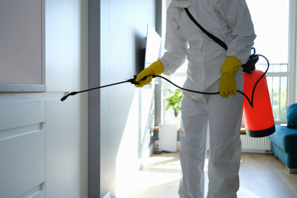 Best Mold Remediation for Specific Building Types in Big Sandy, TX
