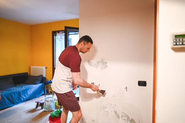 Best Commercial Mold Remediation in Big Sandy, TX